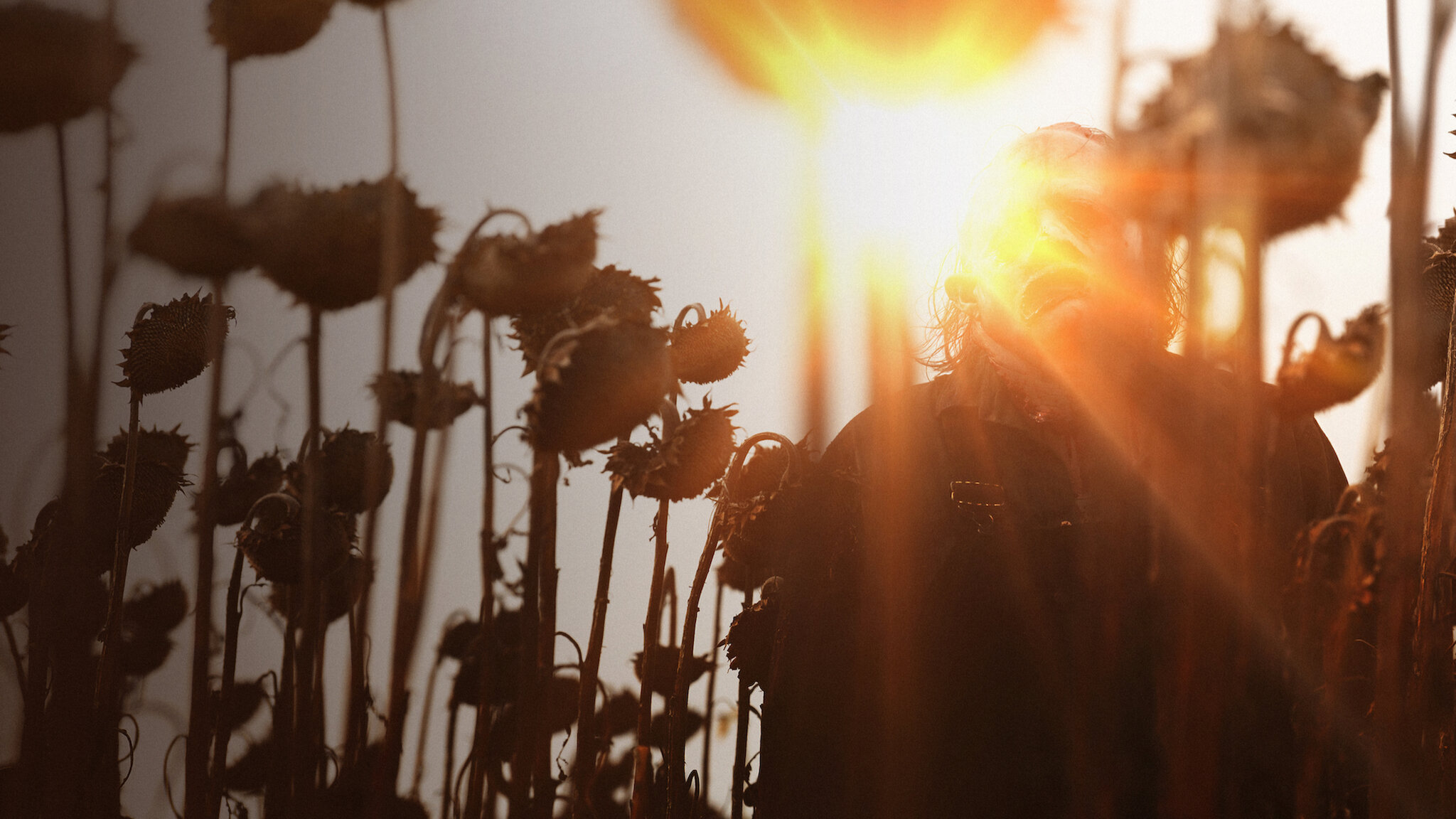 Watch Texas Chainsaw Massacre Netflix Official Site