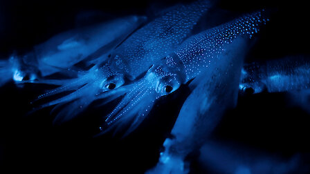 Watch Night on Earth | Netflix Official Site