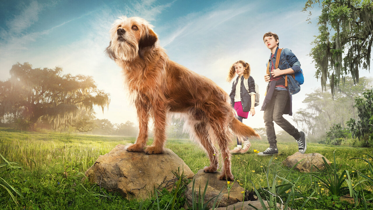 Watch Benji | Netflix Official Site