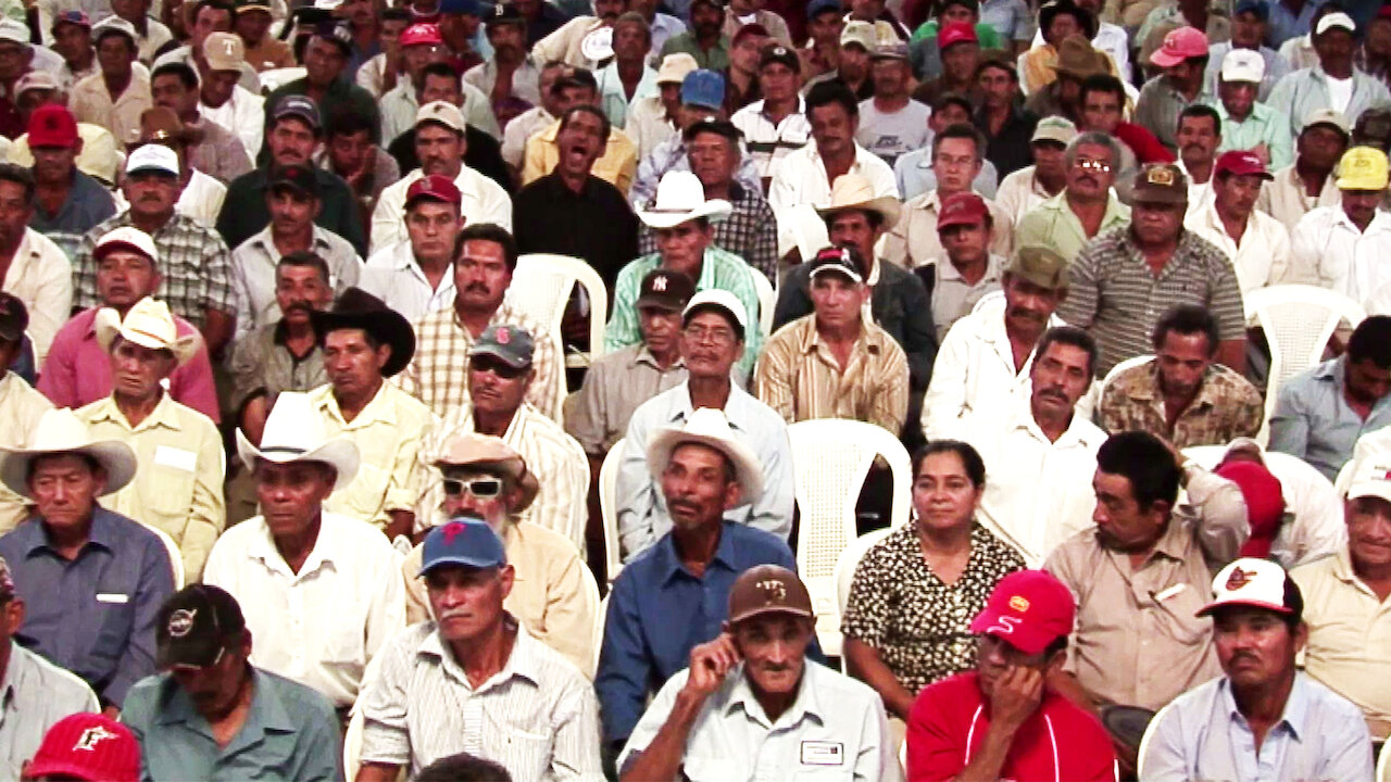 Watch Bananas!* Netflix